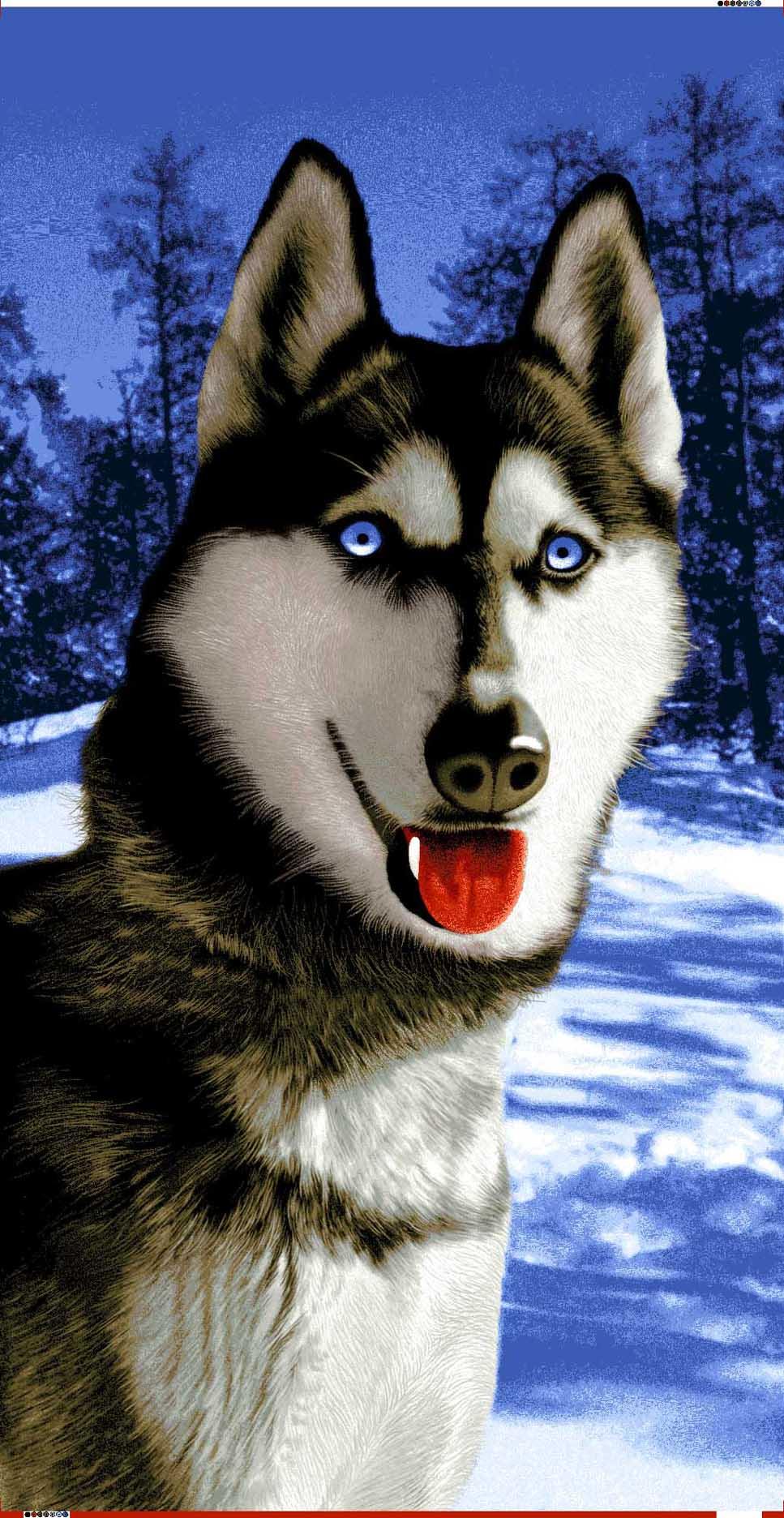 HUSKY SIBERIA DOG WOLF TOWEL
